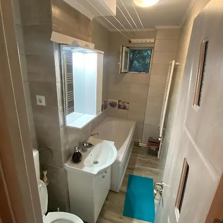 Apartament Andreea *